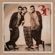 3T 1995 debut album Brotherhood (MJJ Music)